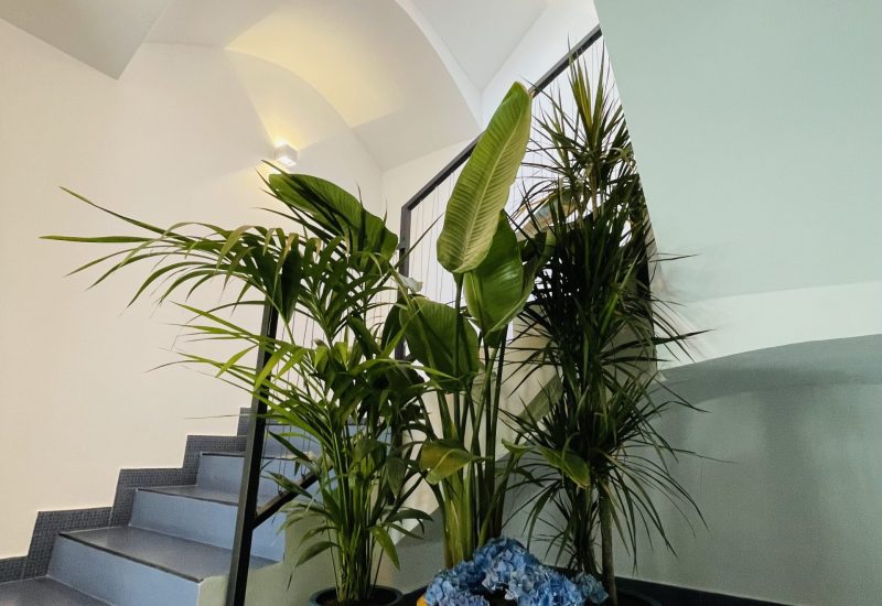Escaleras de acceso