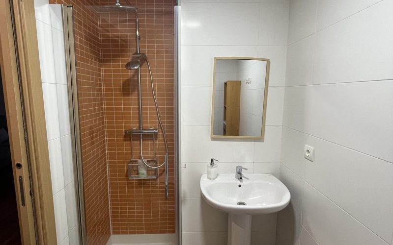 Apartamentos Renacimiento Bajo (10)