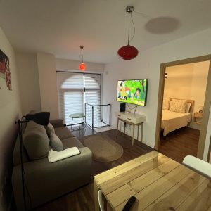 Apartamentos Renacimiento Bajo (11)