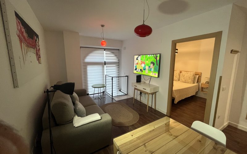 Apartamentos Renacimiento Bajo (11)