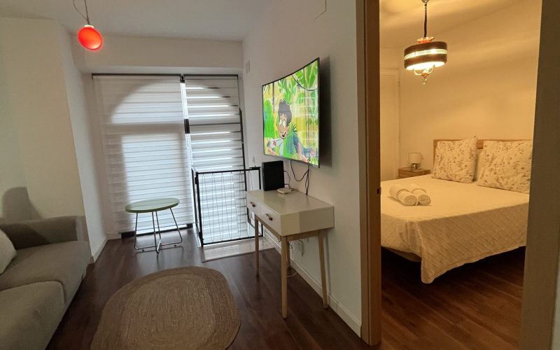 Apartamentos Renacimiento Bajo (14)