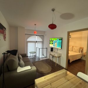 Apartamentos Renacimiento Bajo (2)