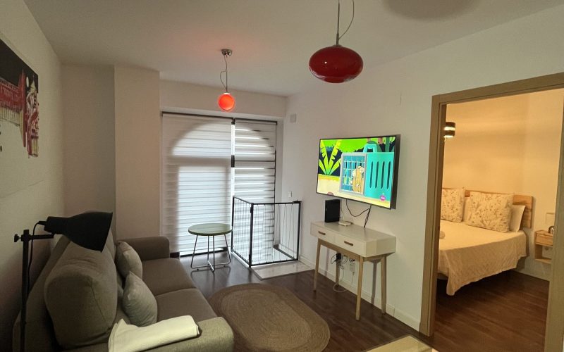 Apartamentos Renacimiento Bajo (2)