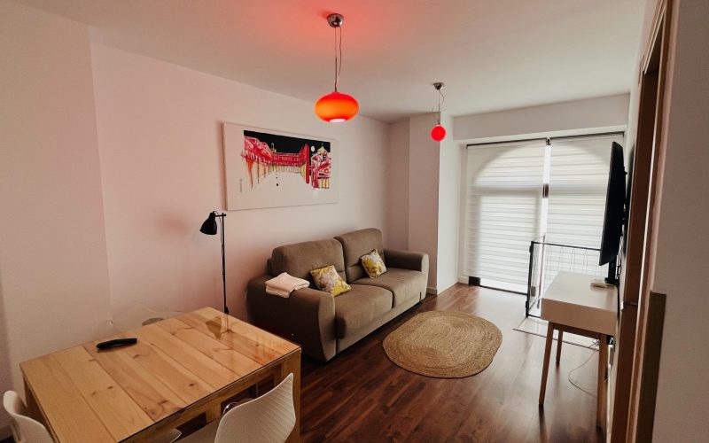 Apartamentos Renacimiento Bajo (3)