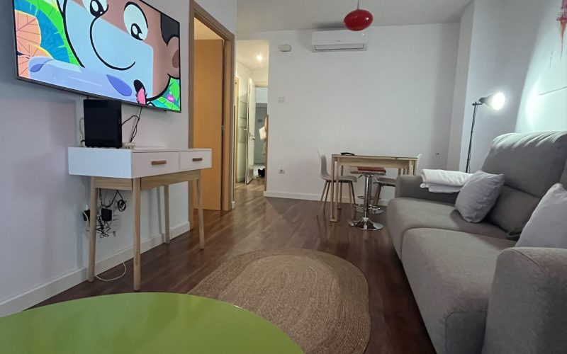 Apartamentos Renacimiento Bajo (3)