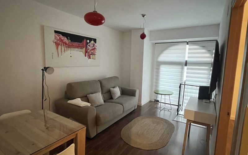 Apartamentos Renacimiento Bajo (7)