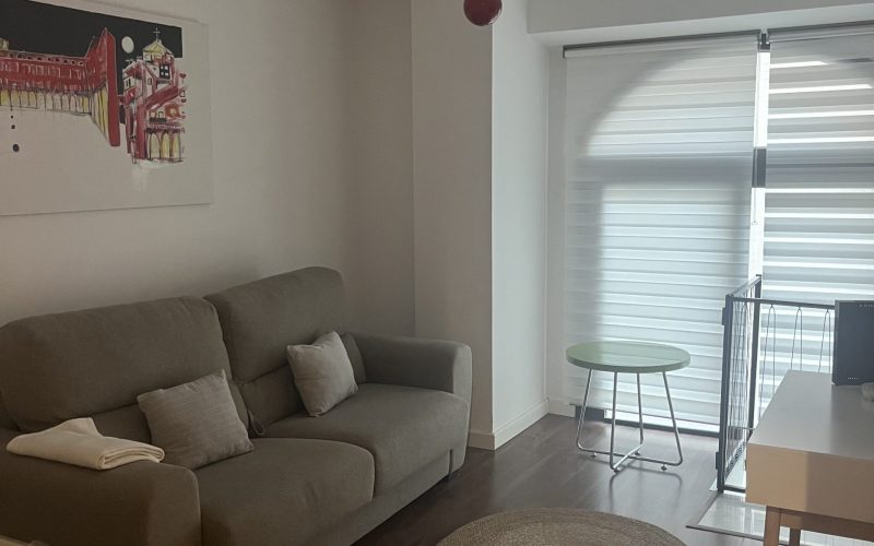 Apartamentos Renacimiento Bajo (8)