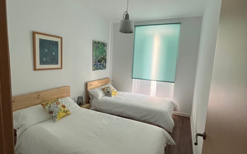 Apartamentos Renacimiento Balcones (4)