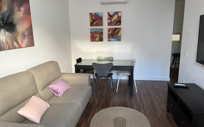 Apartamentos Renacimiento Balcones (4)